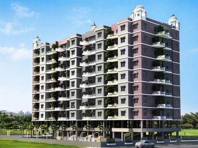 Axisa D Wing, Kiwale